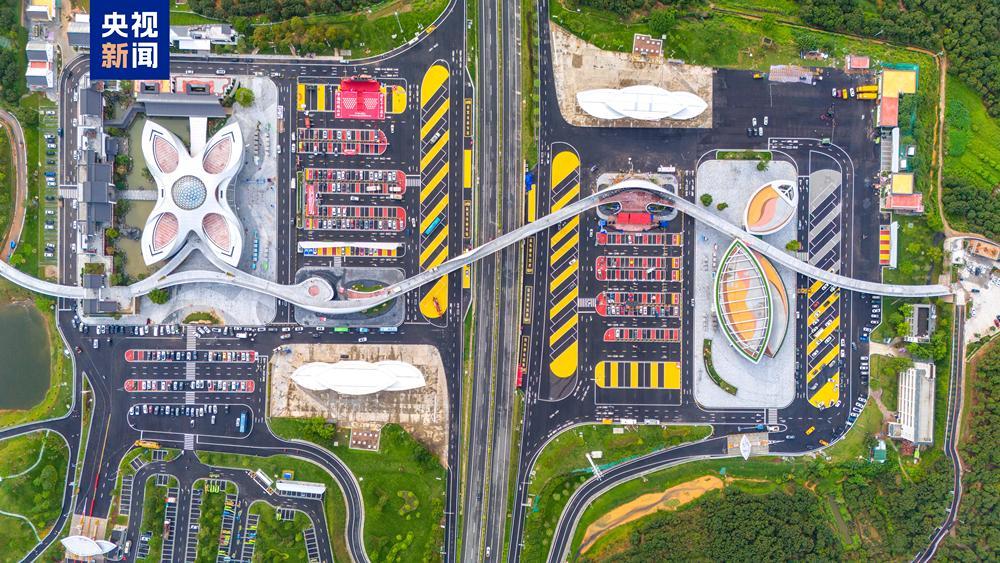 从“一骑红尘”到“一键下单” 岭南荔枝来了