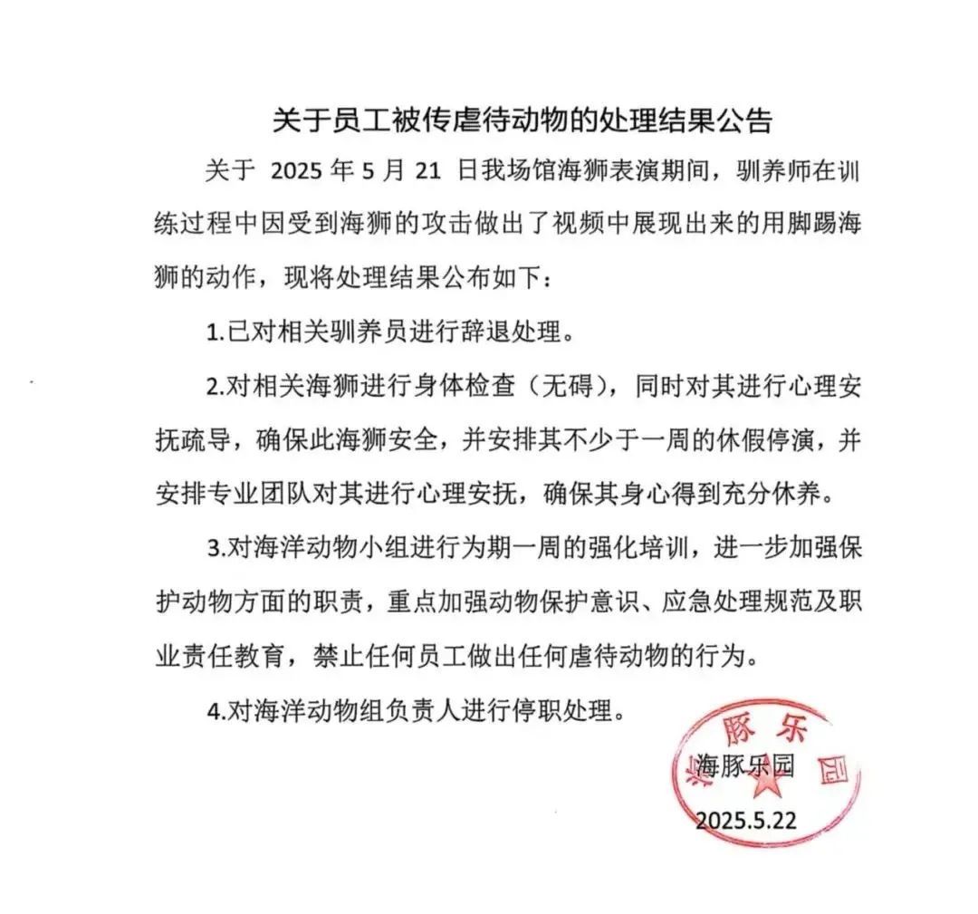 脚踢海狮！员工被曝虐待动物，海洋馆最新回应