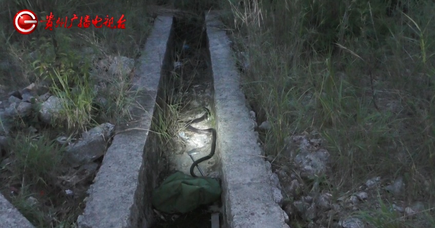 啊啊啊啊啊啊啊啊啊啊~车内有蛇！这么……大！