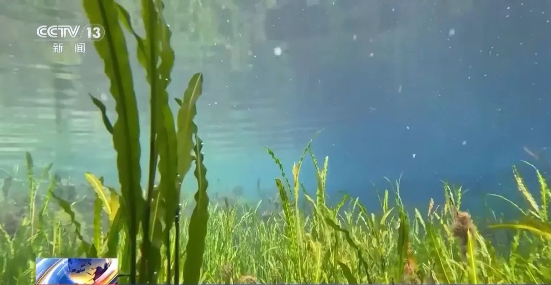 我国生物多样性保护成效出炉！