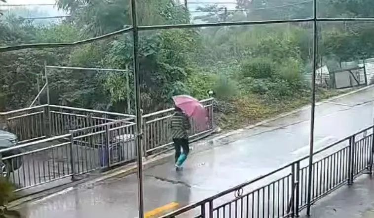 “山上都是吃的!”浏阳74岁老人走失6日奇迹生还!家人:找到时她还提醒我们别滑了 “山上都是吃的!”浏阳74岁老人走失6日奇迹生还!家人:找到时她还提醒我们别滑了