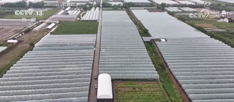 从“新农人”成“兴农人” “90后”返乡走出致富“振兴路”