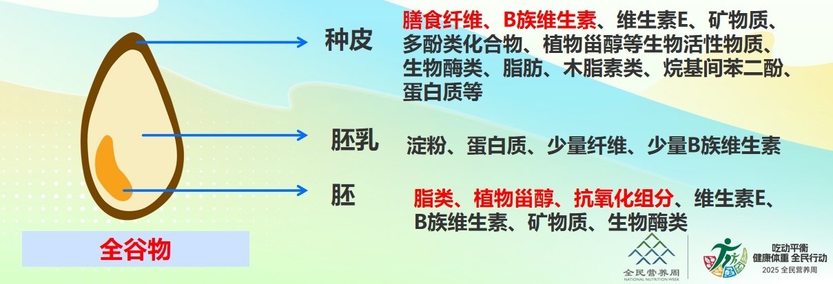 吃不对,胖得快还易生病!“全谷物”才是真·营养王者 吃不对,胖得快还易生病!“全谷物”才是真·营养王者
