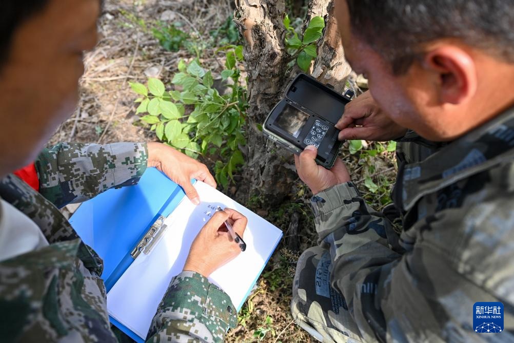 太行山里的猕猴乐园