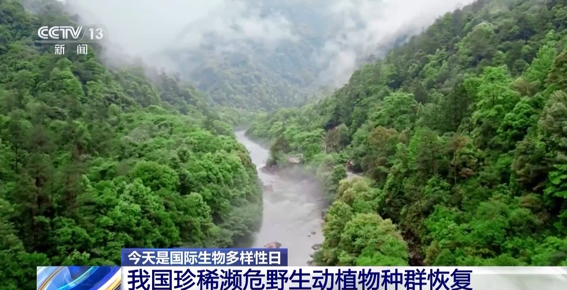 我国生物多样性保护成效如何？这份“成绩单”亮了