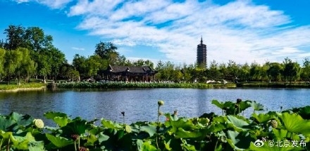 坝河通航、路县故城遗址公园开放……今年大运河有这些新动作