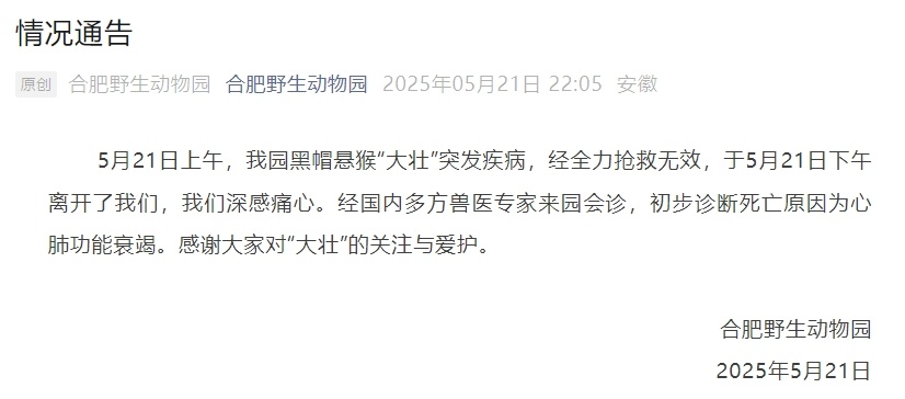 国字脸“大壮”突然去世！死因公布