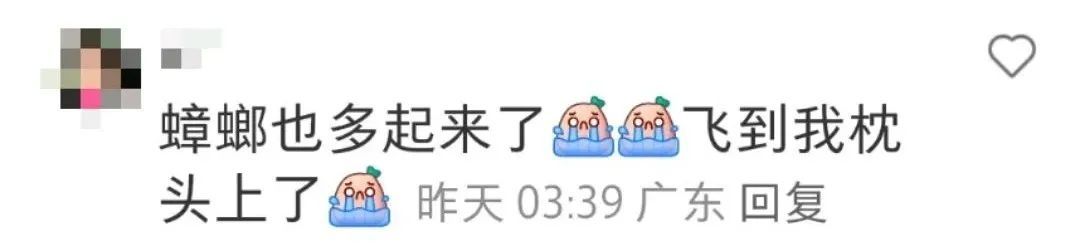 这两天,不少广东人凌晨大喊:根本睡不着!重要提醒 这两天,不少广东人凌晨大喊:根本睡不着!重要提醒