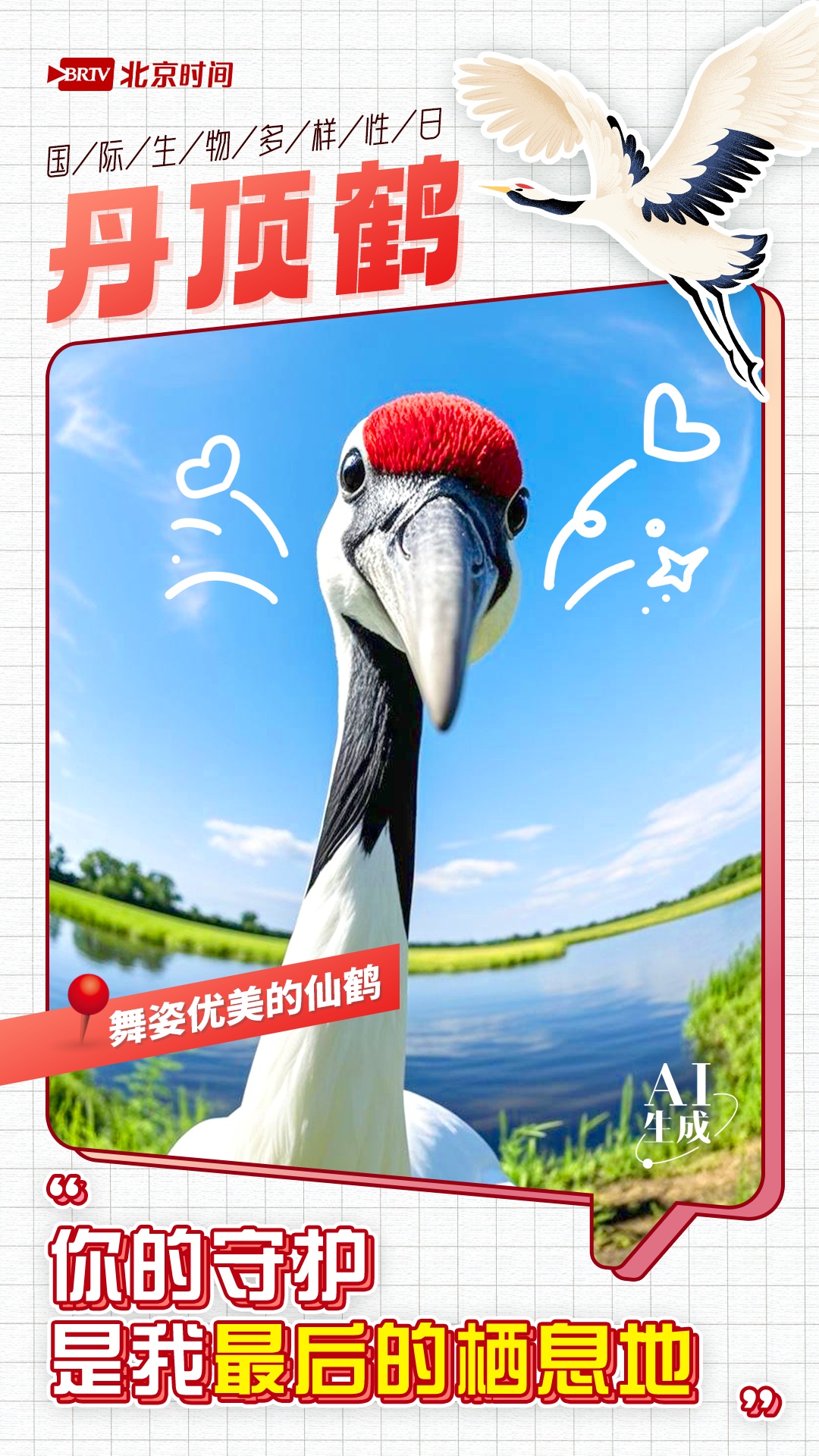 国际生物多样性日｜你们愿意成为保护我的盔甲吗？