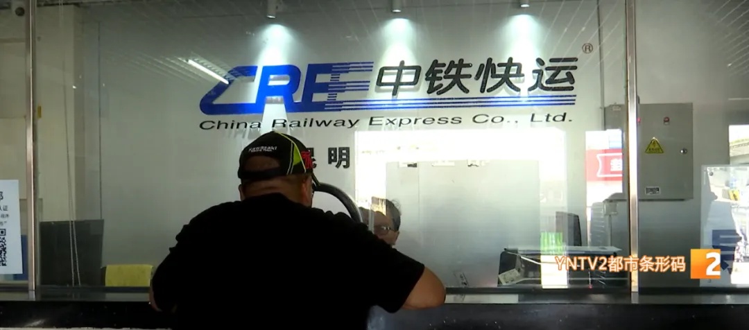 带上萌宠和自行车出发！ 坐着火车游云南……