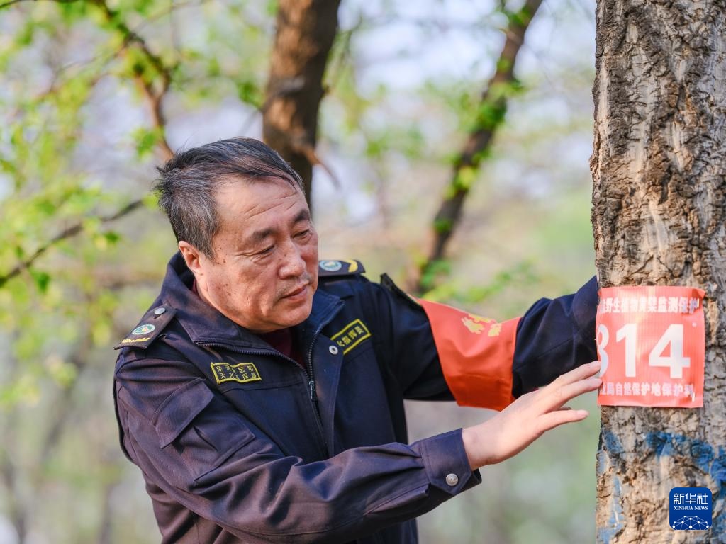 图片故事｜大兴安岭的生物多样性守护者