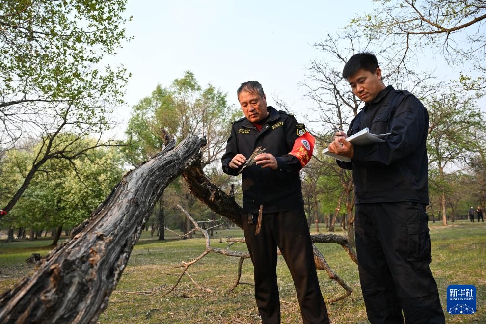 图片故事｜大兴安岭的生物多样性守护者