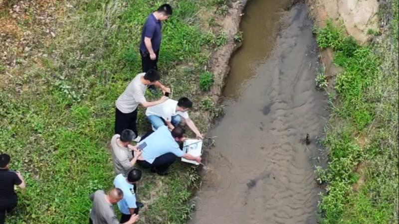 持续降雨致娃娃鱼“迷路” 江西金溪县干群联手助其重返自然