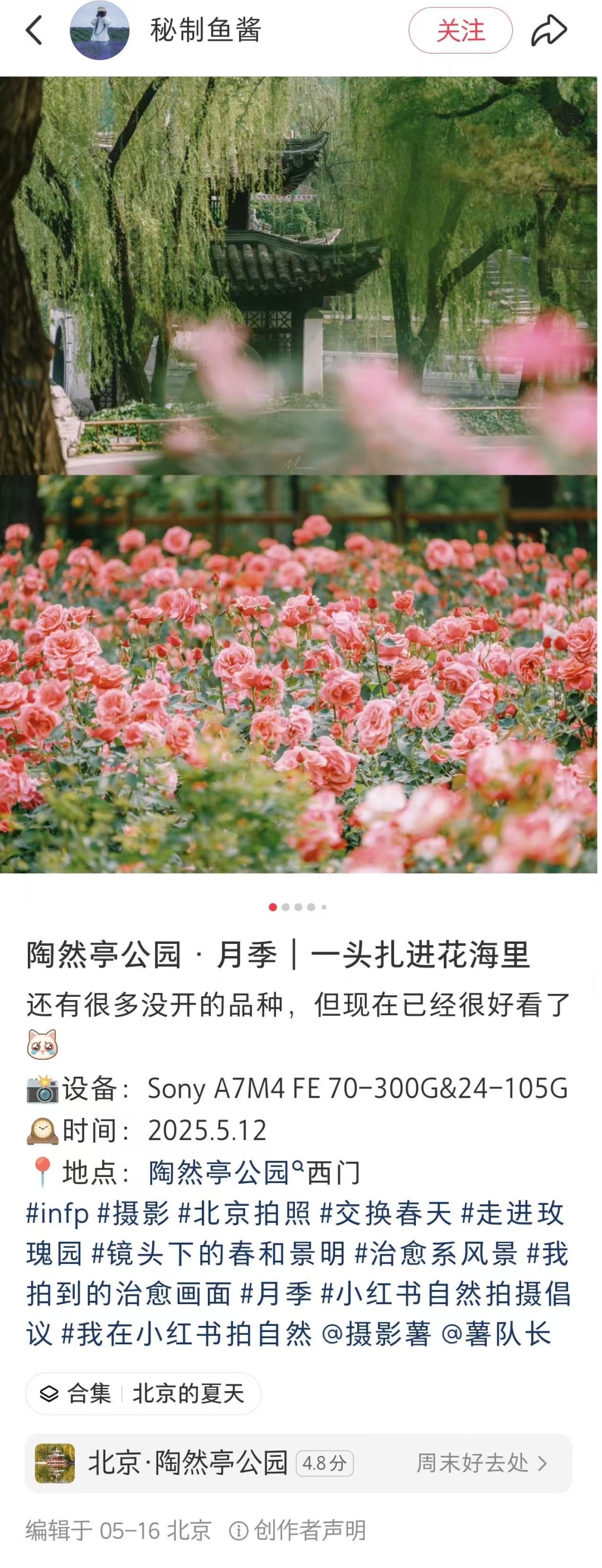 北京的绿化带是要“考研”吗? 北京的绿化带是要“考研”吗?