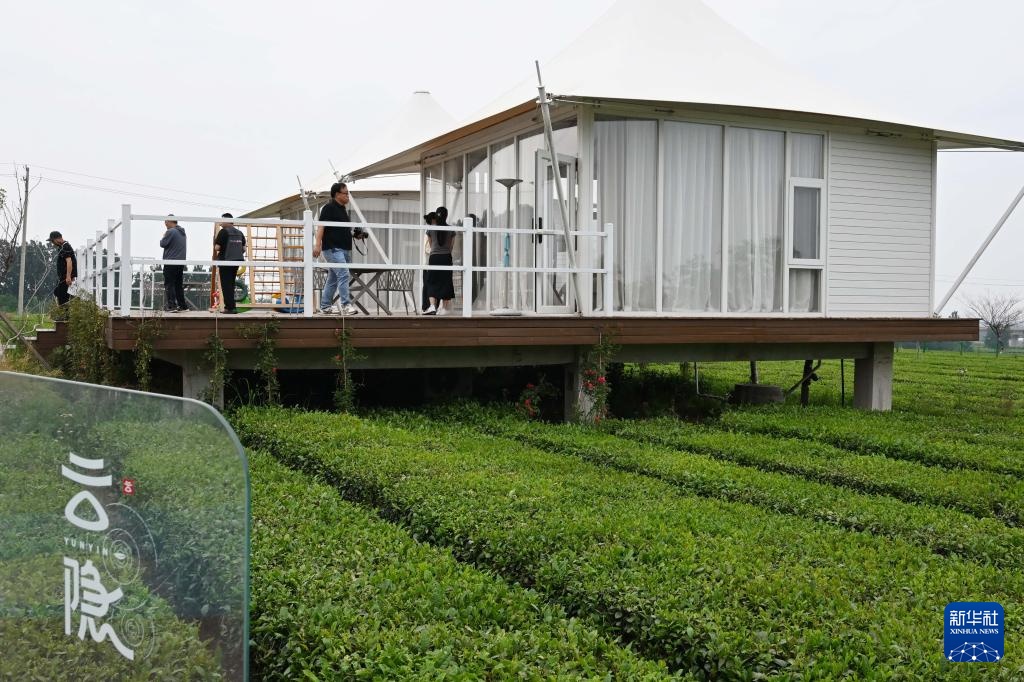 山东日照:绿水青山飘茶香 山东日照:绿水青山飘茶香