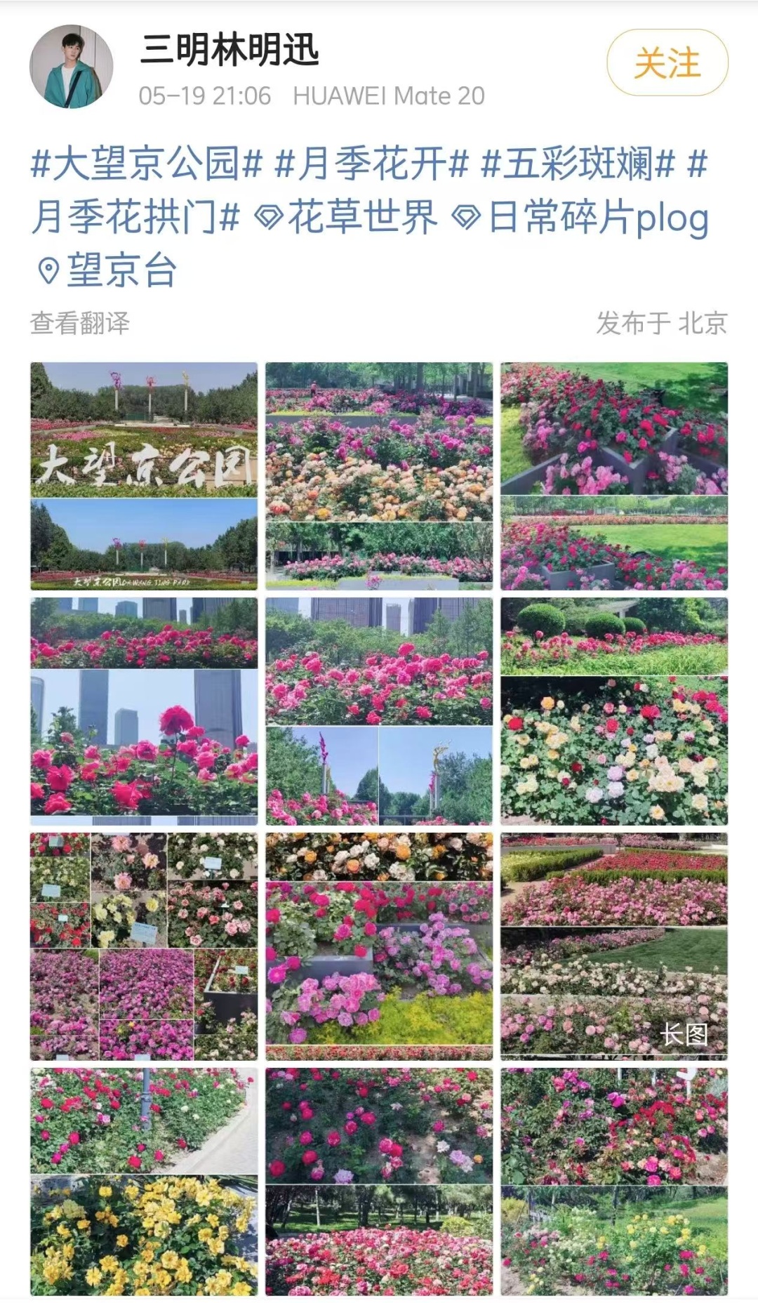 北京的绿化带是要“考研”吗? 北京的绿化带是要“考研”吗?