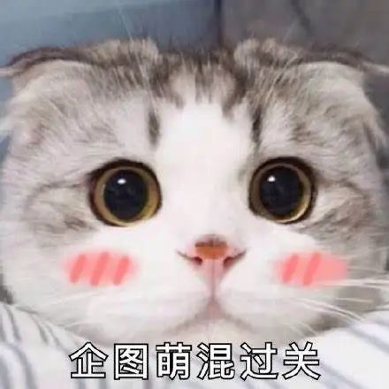 纯手写论文竟被标为“AI生成”,AIGC检测到底靠谱吗? 纯手写论文竟被标为“AI生成”,AIGC检测到底靠谱吗?