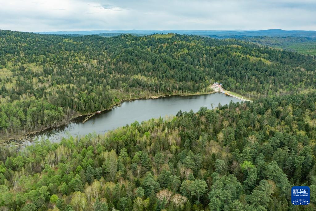 天空之眼瞰祖国丨“林都”伊春的初夏