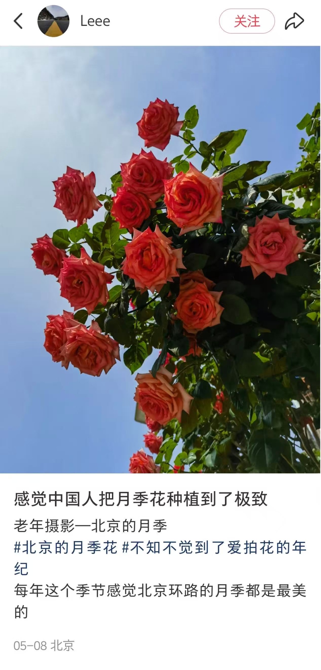 北京的绿化带是要“考研”吗? 北京的绿化带是要“考研”吗?