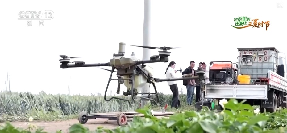 “新农人”玩转智慧农业 农业生产有“智”又有“质”