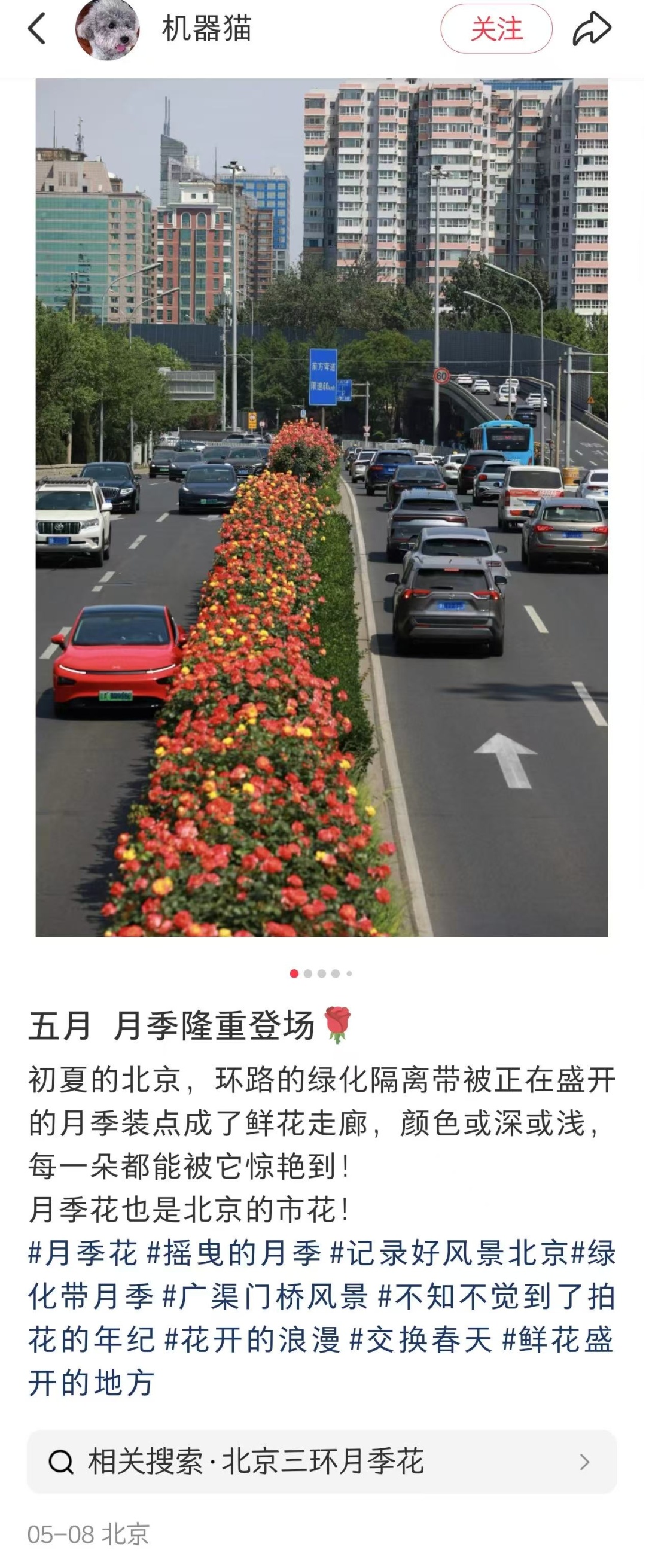 北京的绿化带是要“考研”吗? 北京的绿化带是要“考研”吗?