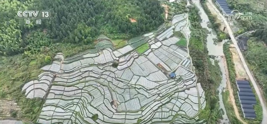 “新农人”玩转智慧农业 农业生产有“智”又有“质”