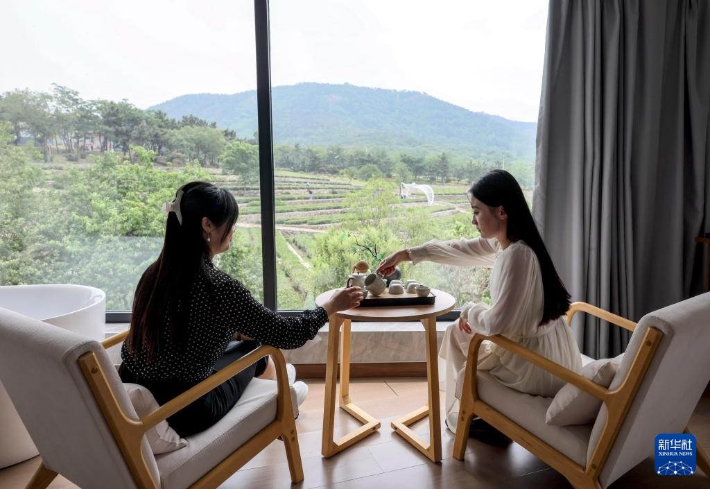 山东日照:绿水青山飘茶香 山东日照:绿水青山飘茶香