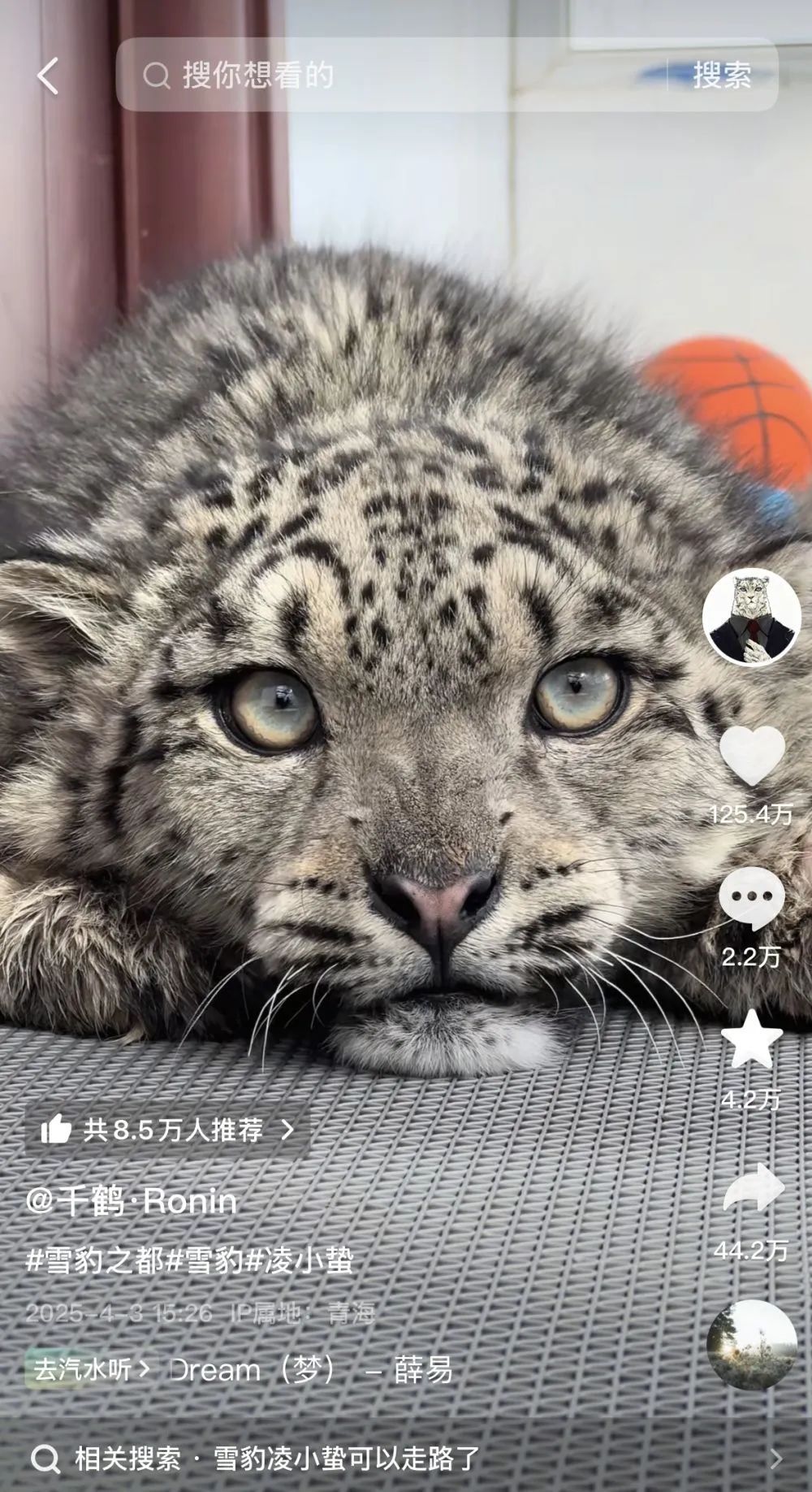 你在“追”凌小蛰吗？