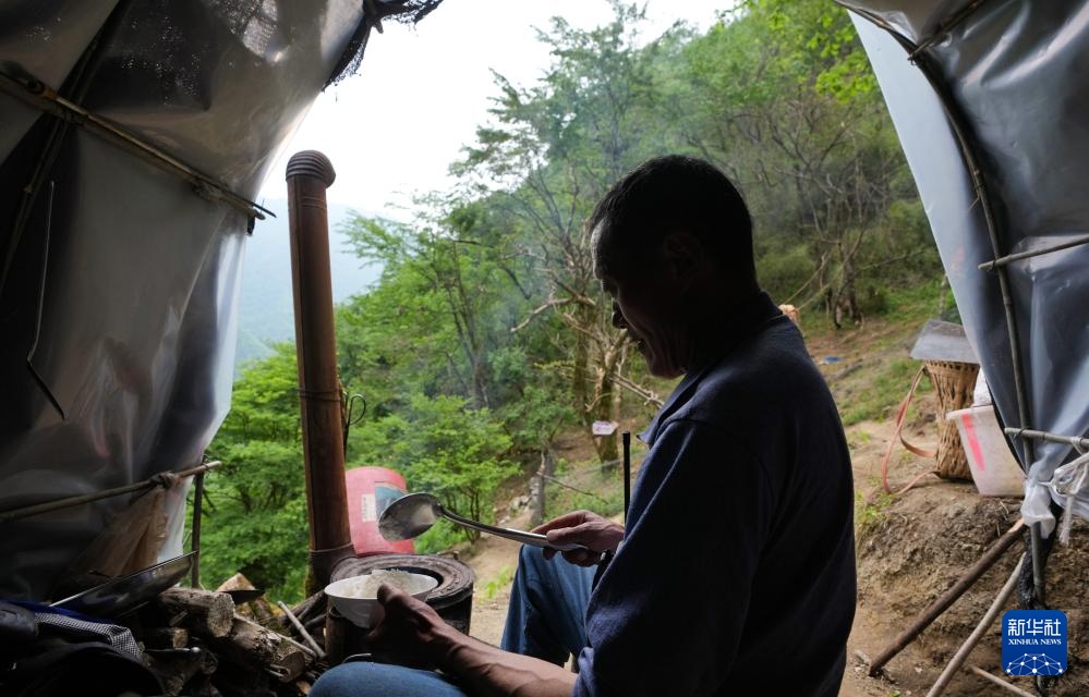 他们扎根深山 只为守护川金丝猴的家园 他们扎根深山 只为守护川金丝猴的家园