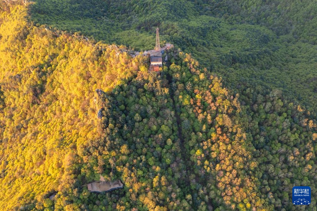 天空之眼瞰祖国丨“林都”伊春的初夏