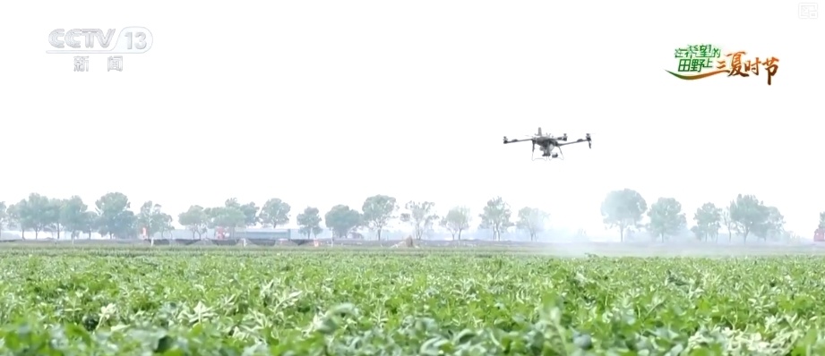 “新农人”玩转智慧农业 农业生产有“智”又有“质”