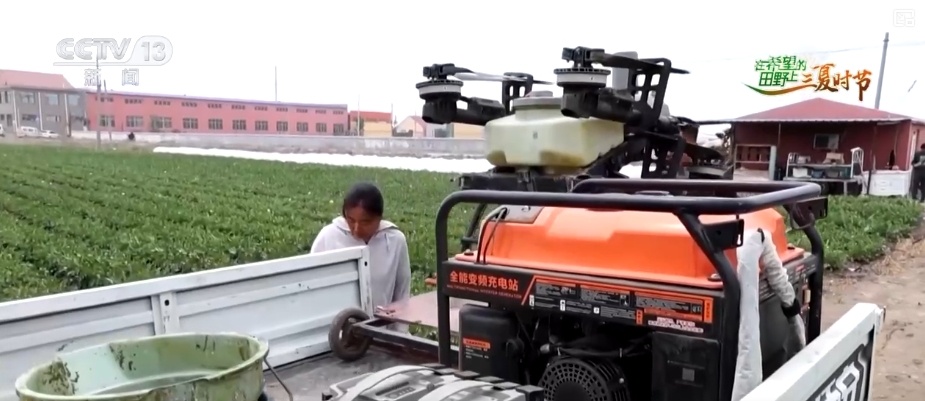 “新农人”玩转智慧农业 农业生产有“智”又有“质”