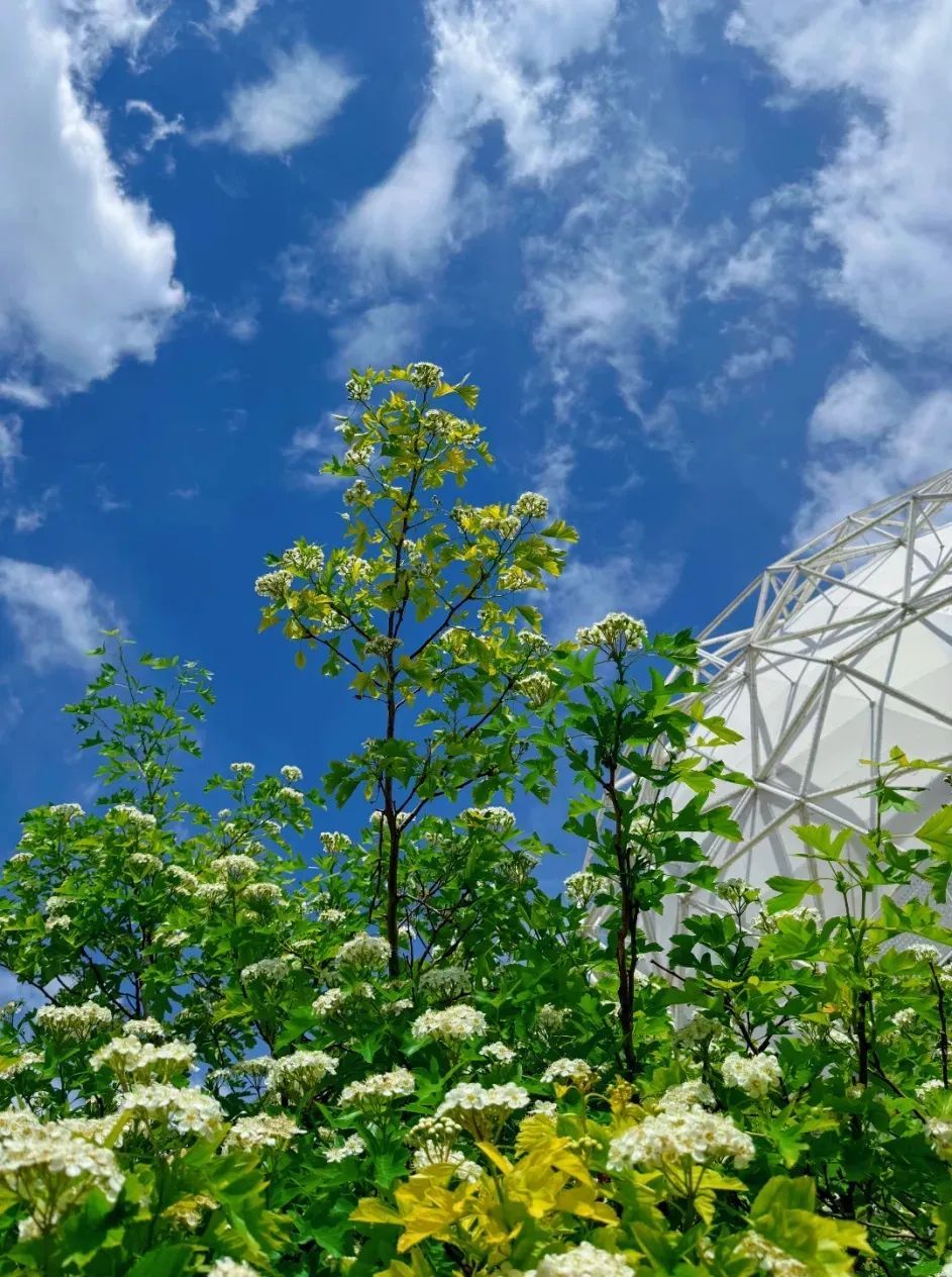 走进北京科学中心 感受生物多样性之美