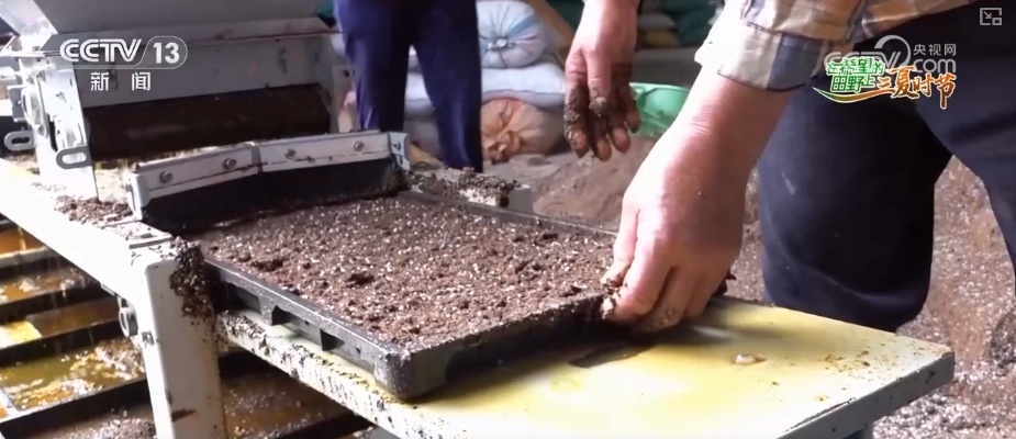 “新农人”玩转智慧农业 农业生产有“智”又有“质”