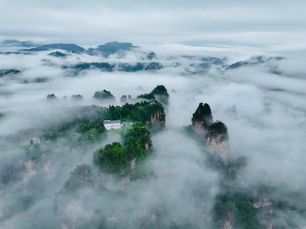 雨后张家界美成了仙境