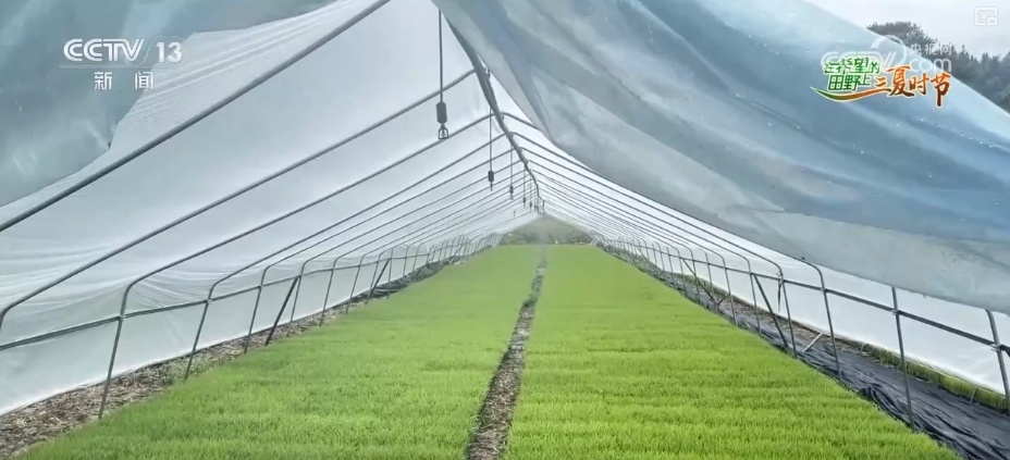 “新农人”玩转智慧农业 农业生产有“智”又有“质”