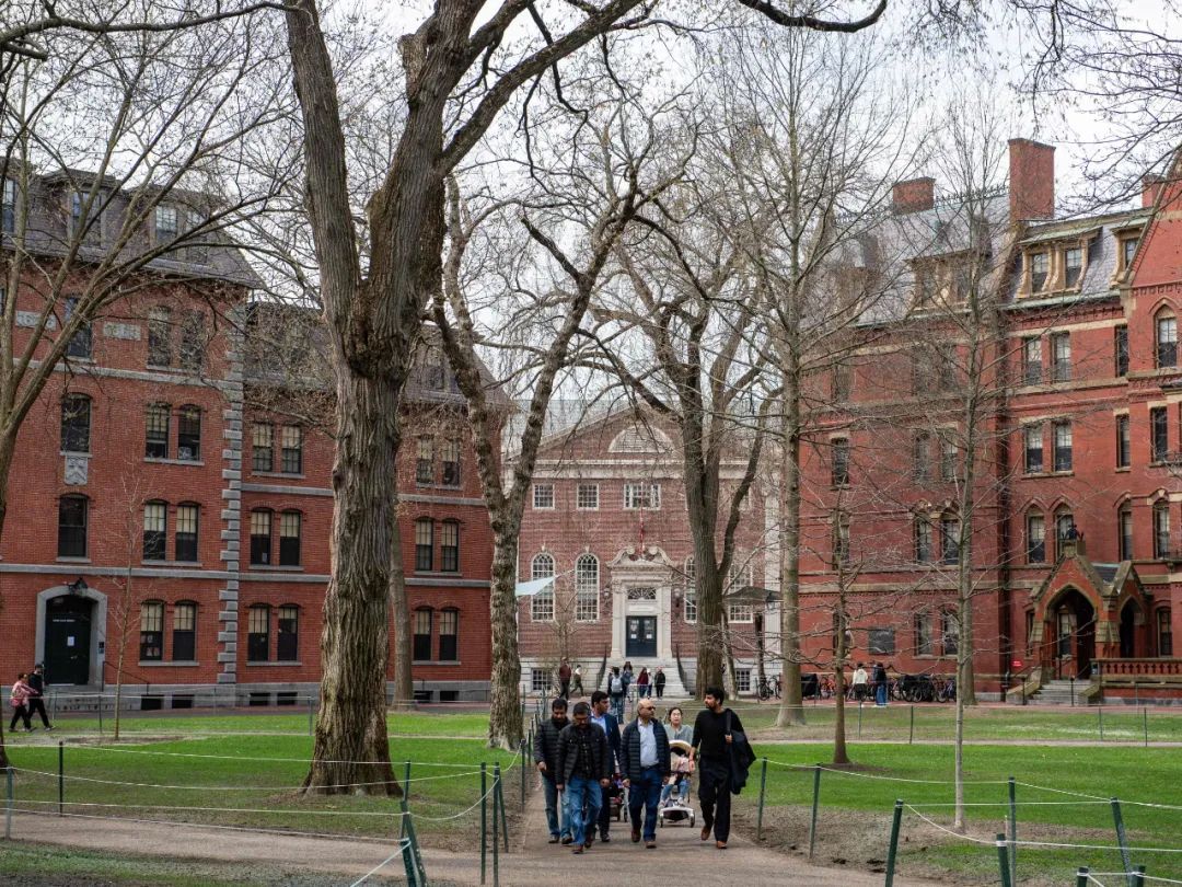 禁招令下,哈佛能否挽回?国际生何去何从? 禁招令下,哈佛能否挽回?国际生何去何从?