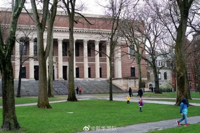 下狠手了!哈佛硬钢! 下狠手了!哈佛硬钢!