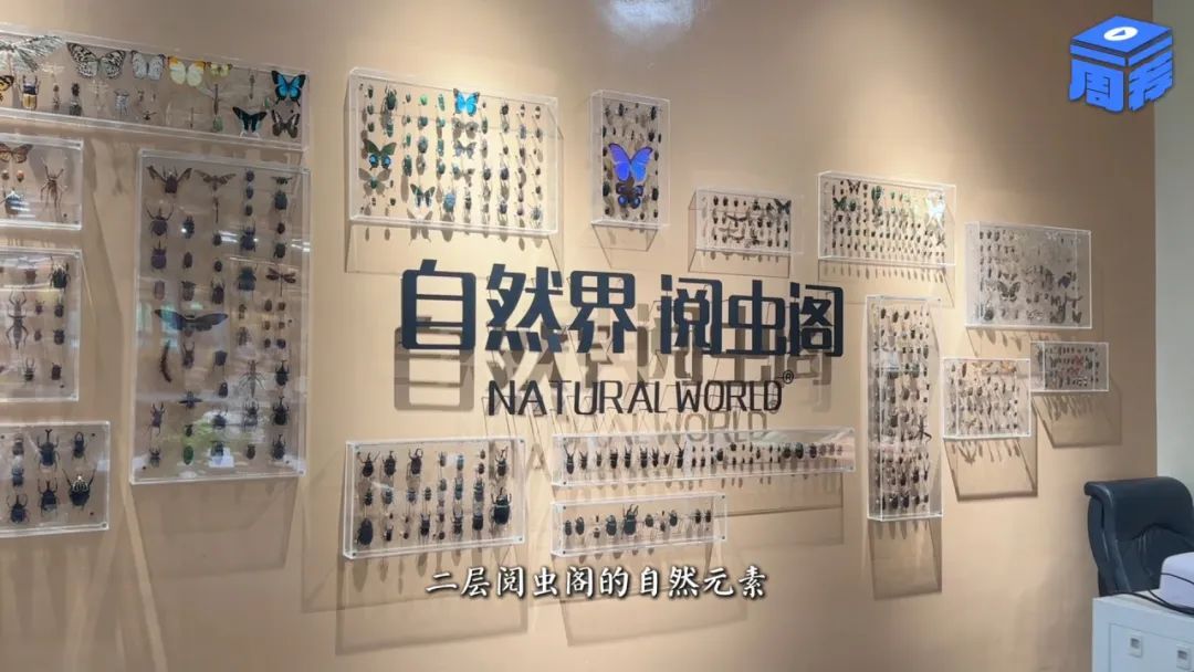 花市书店焕新绽放,续写传统与未来的诗意对话 | 一周一荐 花市书店焕新绽放,续写传统与未来的诗意对话 | 一周一荐