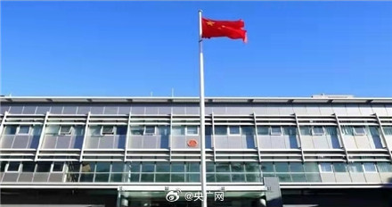 悉尼出现针对中国公民的暴力行为 悉尼出现针对中国公民的暴力行为