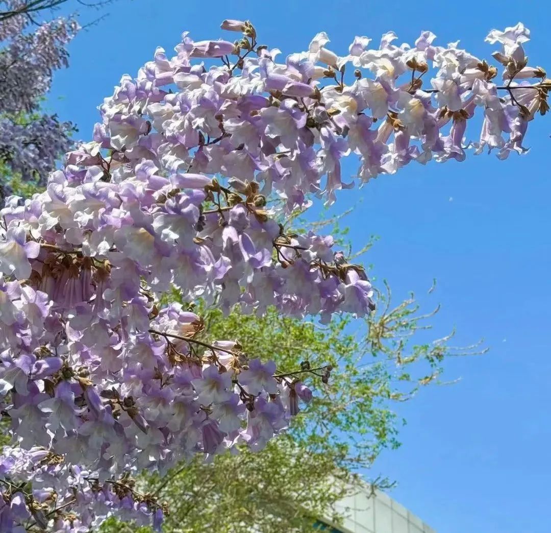 走进北京科学中心 感受生物多样性之美
