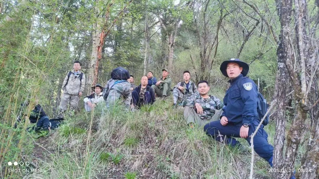 熊猫树上打哈欠,黑熊抓痕好清晰!川陕甘三省联合巡护直击 熊猫树上打哈欠,黑熊抓痕好清晰!川陕甘三省联合巡护直击