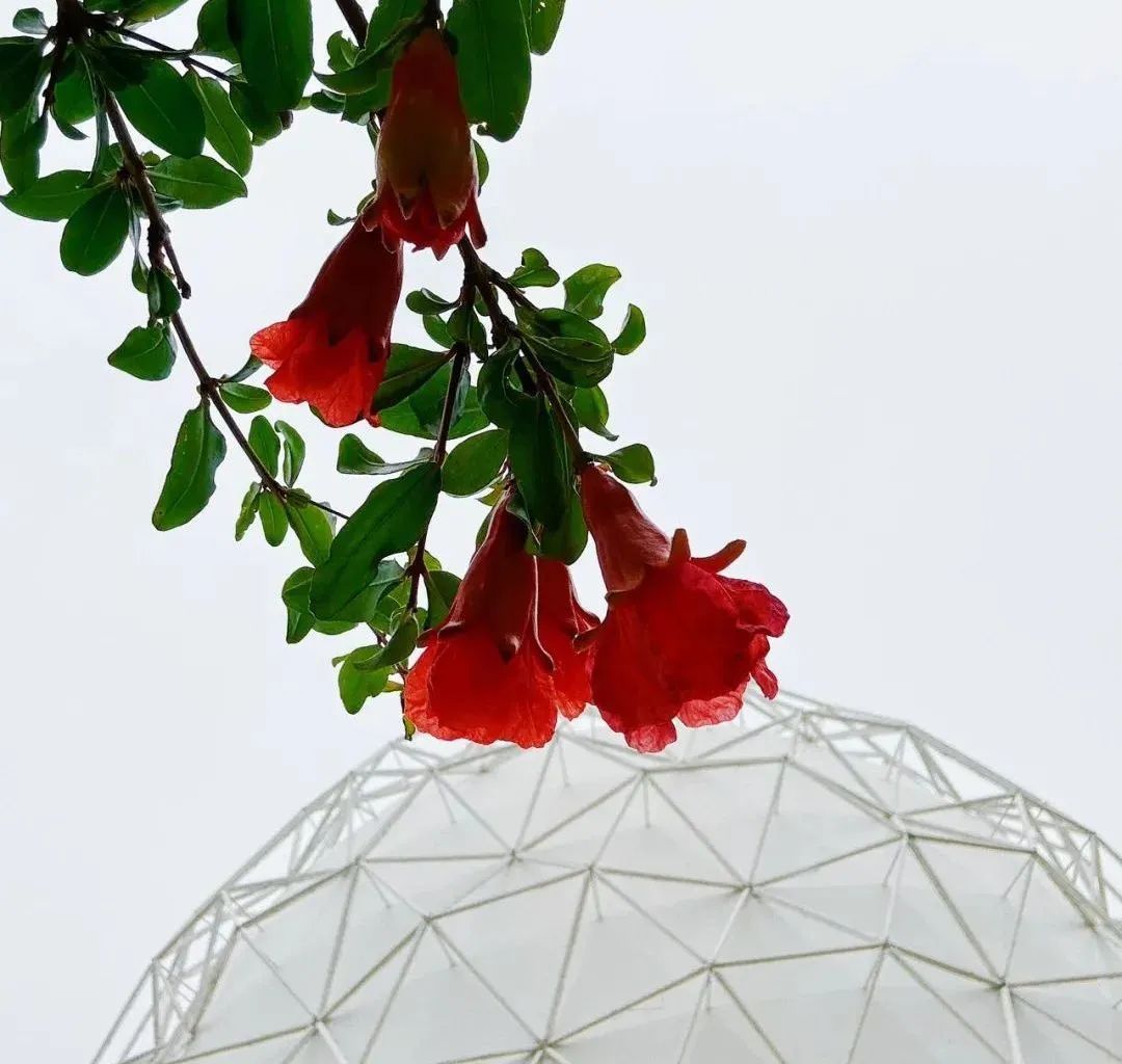 走进北京科学中心 感受生物多样性之美