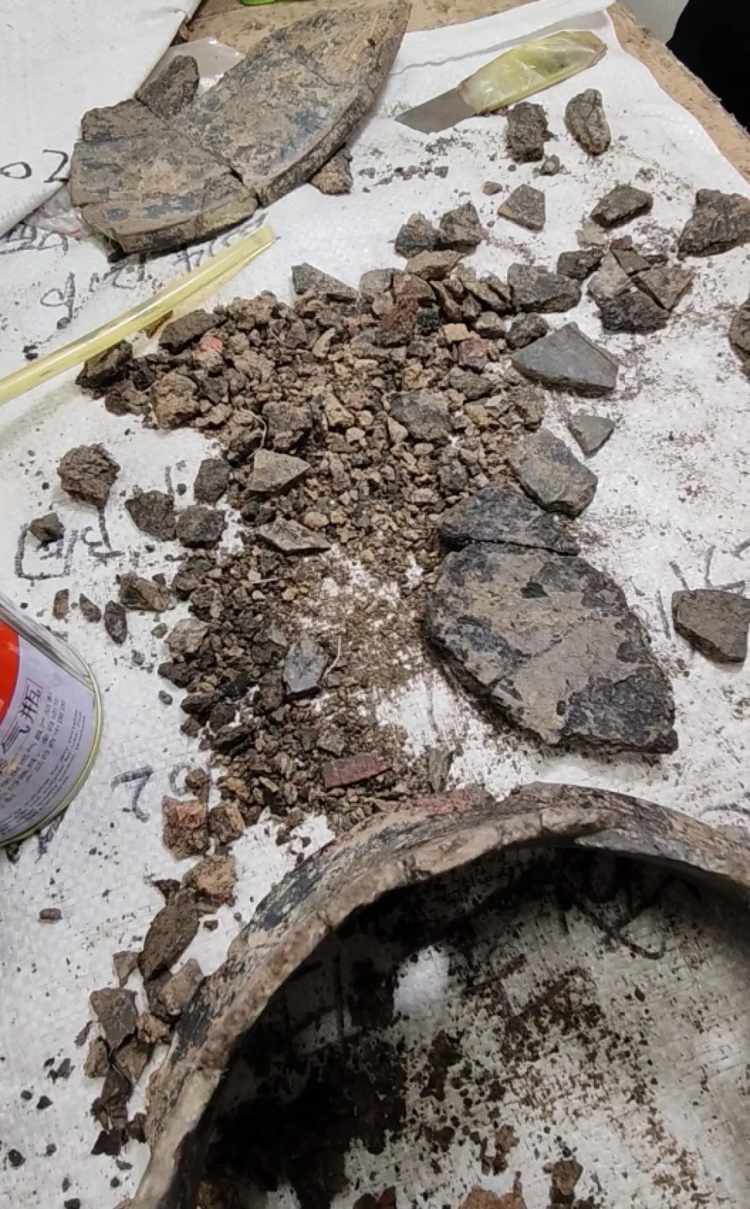 河南小镇挖出5000年前大墓 记者实探“国宝”修复现场