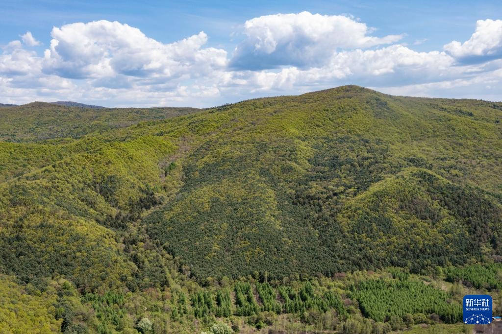 天空之眼瞰祖国丨“林都”伊春的初夏