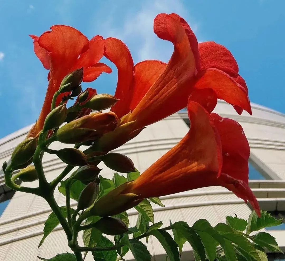 走进北京科学中心 感受生物多样性之美