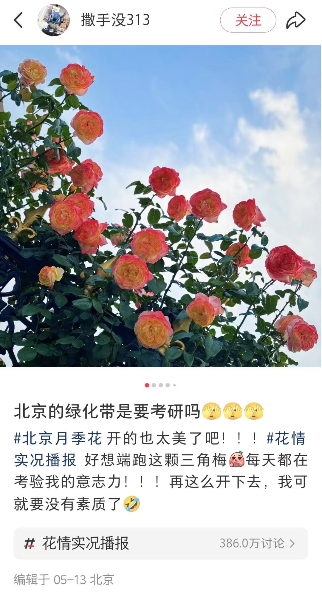 北京的绿化带是要“考研”吗? 北京的绿化带是要“考研”吗?