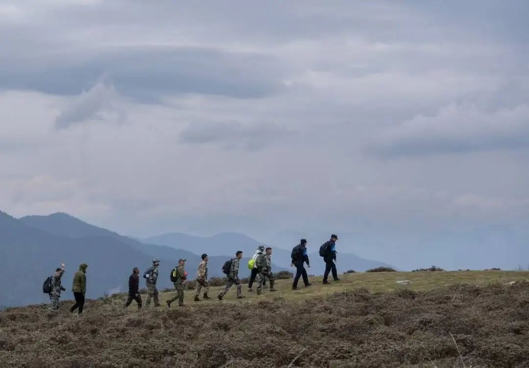 熊猫树上打哈欠,黑熊抓痕好清晰!川陕甘三省联合巡护直击 熊猫树上打哈欠,黑熊抓痕好清晰!川陕甘三省联合巡护直击