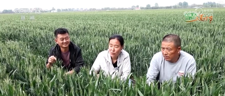 “新农人”玩转智慧农业 农业生产有“智”又有“质”