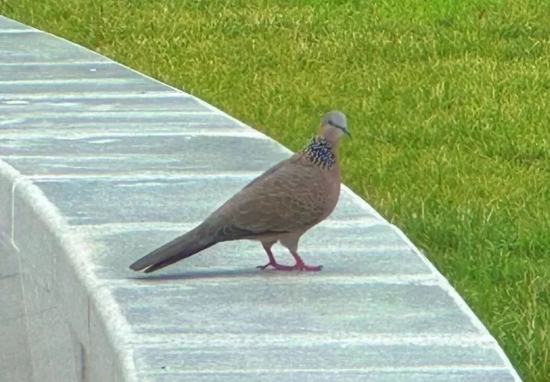 走进北京科学中心 感受生物多样性之美